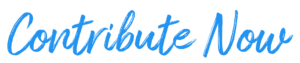 CONTRIBUTE NOW 2